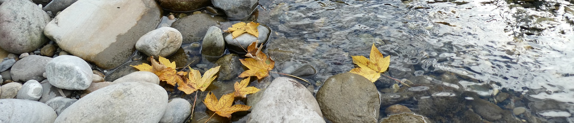 Impressionen Gemeinde Röthenbach i. E.