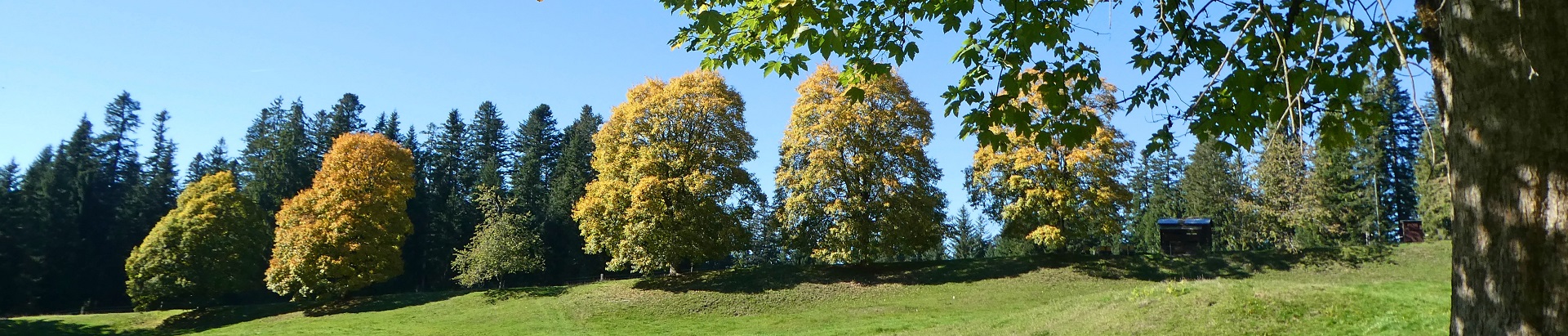 Impressionen Gemeinde Röthenbach i. E.