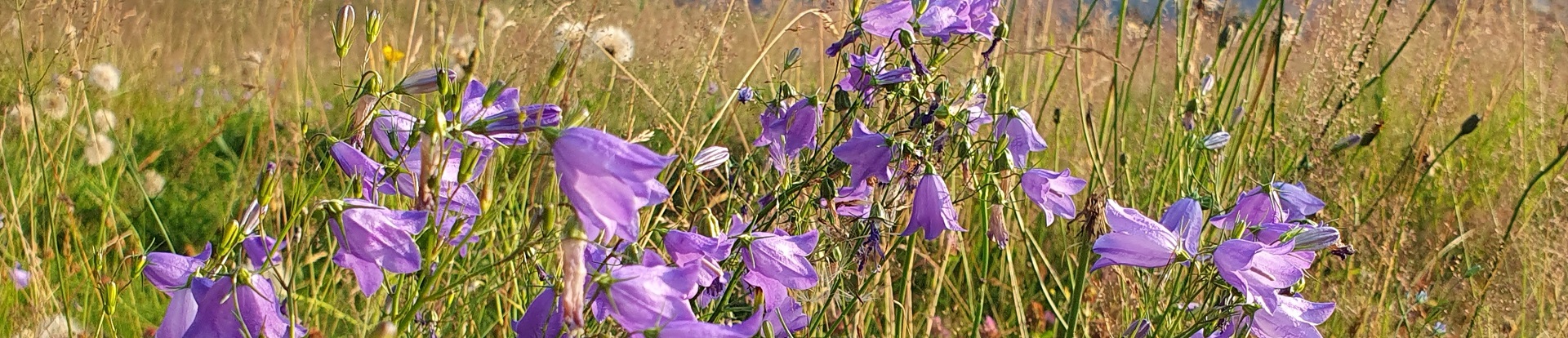 Impressionen Gemeinde Röthenbach i. E.