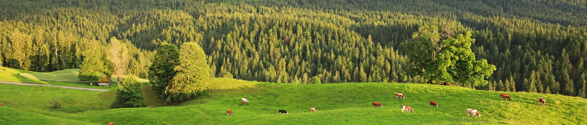 Impressionen Gemeinde Röthenbach i. E.