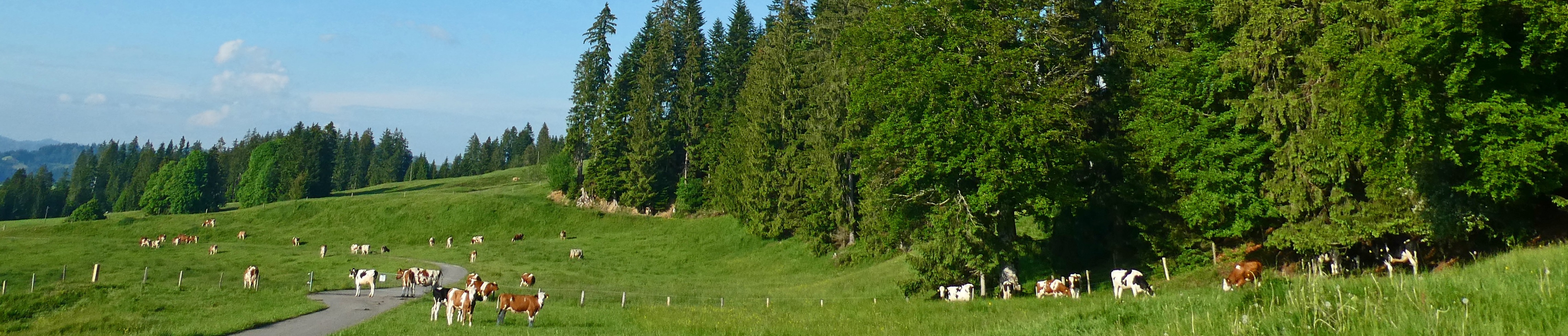 Impressionen Gemeinde Röthenbach i. E.