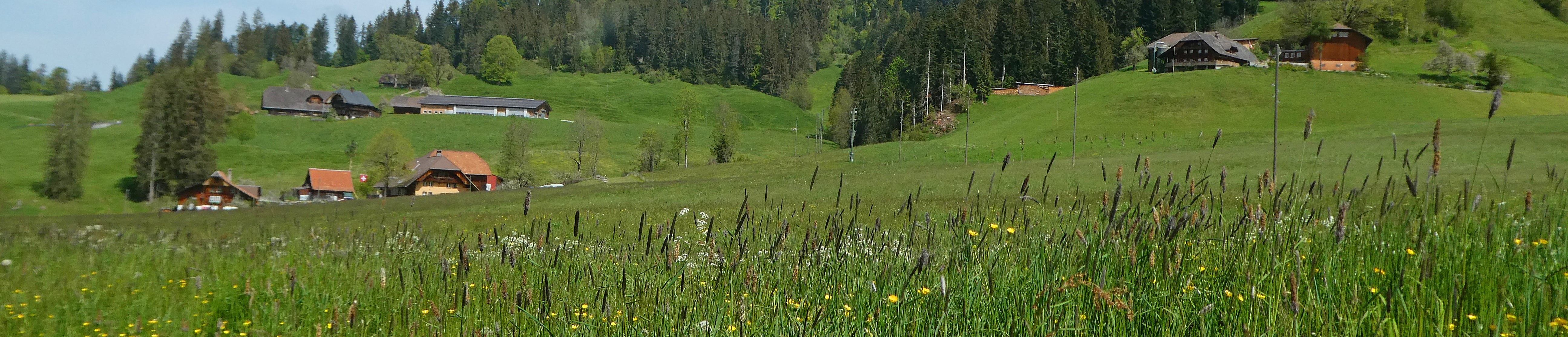 Impressionen Gemeinde Röthenbach i. E.