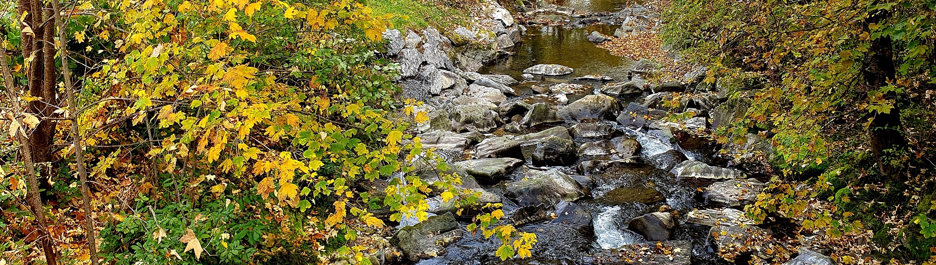 Impressionen Gemeinde Röthenbach i. E.