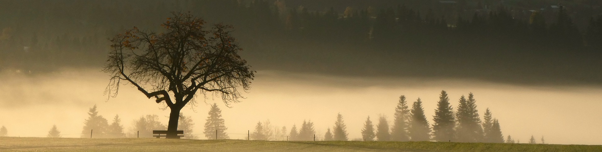 Impressionen Gemeinde Röthenbach i. E.