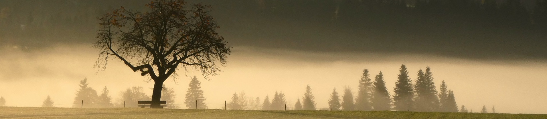 Impressionen Gemeinde Röthenbach i. E.